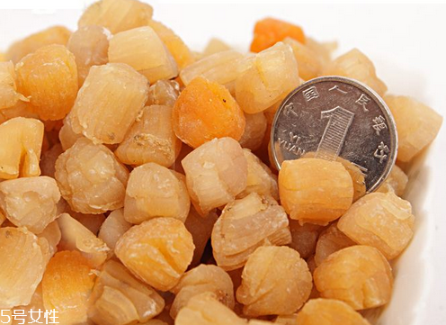 干貝會過敏嗎？海鮮過敏能吃干貝嗎？