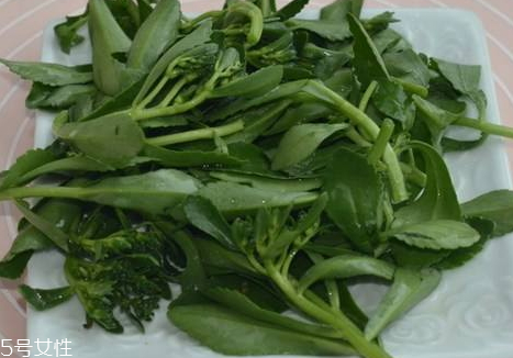 高鈣菜多少錢一斤 高鈣菜的營養(yǎng)價值 高鈣菜多少錢一斤 高鈣菜的營養(yǎng)價值