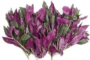 觀音菜孕婦能吃嗎 孕婦吃觀音菜的好處 觀音菜孕婦能吃嗎 孕婦吃觀音菜的好處