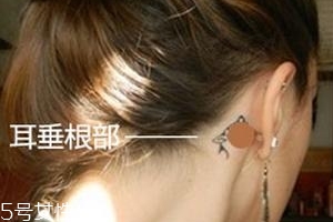 暈車貼貼哪里？暈車貼貼哪里示意圖