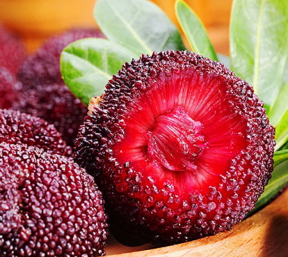 云南楊梅什么時(shí)候成熟？云南楊梅哪里產(chǎn)的