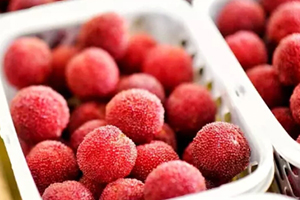 東魁楊梅好吃嗎？東魁楊梅為什么這么火