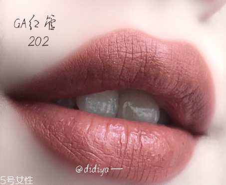 阿瑪尼紅管202有替代色嗎 阿瑪尼紅管202唇釉試色 阿瑪尼紅管202有替代色嗎 阿瑪尼紅管202唇釉試色