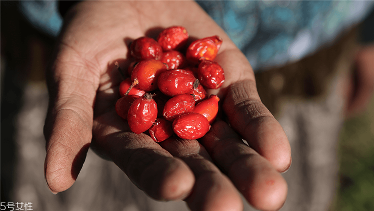 新西蘭trilogy產(chǎn)品有哪些 trilogy口碑好物盤點 新西蘭trilogy產(chǎn)品有哪些 trilogy口碑好物盤點