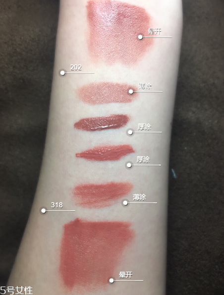 阿瑪尼紅管202有替代色嗎 阿瑪尼紅管202唇釉試色 阿瑪尼紅管202有替代色嗎 阿瑪尼紅管202唇釉試色