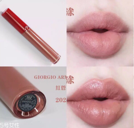 阿瑪尼紅管202有替代色嗎 阿瑪尼紅管202唇釉試色 阿瑪尼紅管202有替代色嗎 阿瑪尼紅管202唇釉試色