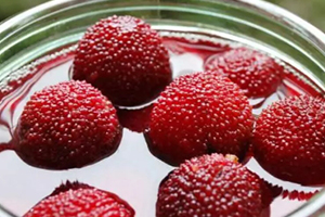 荸薺楊梅多少錢一斤？荸薺楊梅什么時候上市