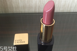 雅詩蘭黛豆沙色是幾號 雅詩蘭黛440是豆沙色嗎 雅詩蘭黛豆沙色是幾號 雅詩蘭黛440是豆沙色嗎