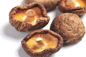 干香菇可以保存多久 干香菇保質期