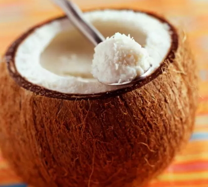 椰子凍怎么做？椰子凍的做法大全