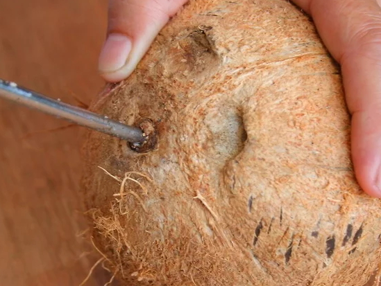 帶拉環(huán)的椰子怎么打開？拉環(huán)斷了椰子怎么打開