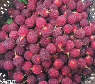 烏酥楊梅多少錢(qián)一斤？烏酥楊梅好吃嗎