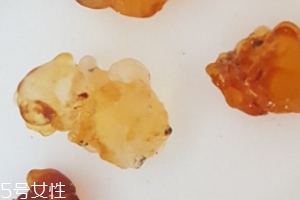 桃膠能生吃嗎？生吃桃膠可以嗎？