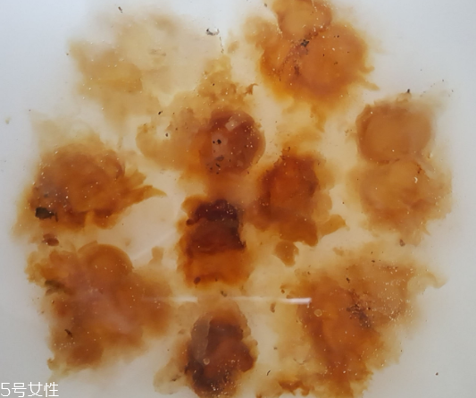 桃膠能生吃嗎？生吃桃膠可以嗎？