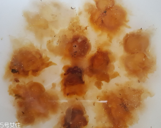 桃膠可以用開(kāi)水泡嗎？用開(kāi)水泡桃膠好嗎？