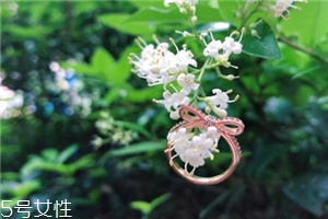 戒指掉進下水道怎么辦？戒指掉下水道了怎么撿