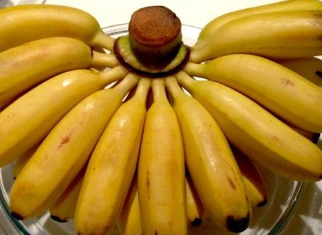 芝麻蕉的營養(yǎng)價(jià)值 芝麻蕉的功效與作用 芝麻蕉的營養(yǎng)價(jià)值 芝麻蕉的功效與作用