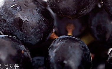 黑提是葡萄嗎？黑提和葡萄的區(qū)別