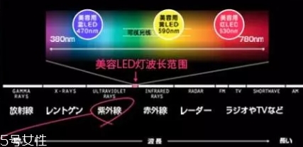 belulu大排燈怎么樣？belulu大排燈和exideal大排燈哪個好