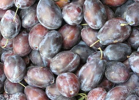 加州西梅上市時(shí)間 加州西梅保存方法 加州西梅上市時(shí)間 加州西梅保存方法