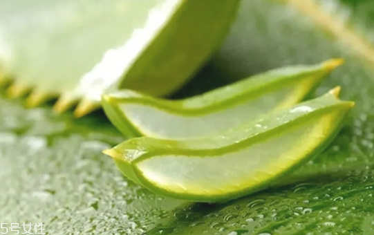 蘆薈膠怎么用效果更好 蘆薈膠的最佳用法 蘆薈膠怎么用效果更好 蘆薈膠的最佳用法