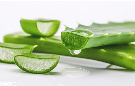 蘆薈膠怎么用效果更好 蘆薈膠的最佳用法 蘆薈膠怎么用效果更好 蘆薈膠的最佳用法