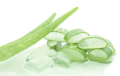 蘆薈膠怎么用效果更好 蘆薈膠的最佳用法 蘆薈膠怎么用效果更好 蘆薈膠的最佳用法