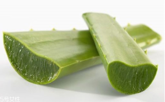 蘆薈膠怎么用效果更好 蘆薈膠的最佳用法 蘆薈膠怎么用效果更好 蘆薈膠的最佳用法