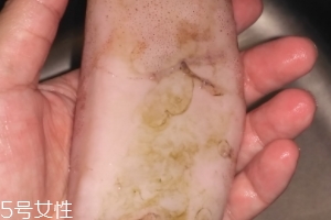 魷魚是海鮮嗎？魷魚屬于海鮮嗎？