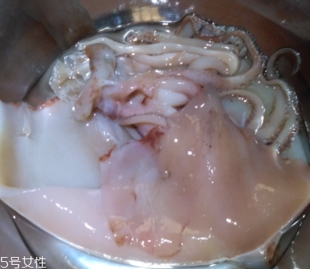 魷魚是海鮮嗎？魷魚屬于海鮮嗎？