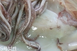 魷魚是烏賊嗎？魷魚跟烏賊是一種嗎？