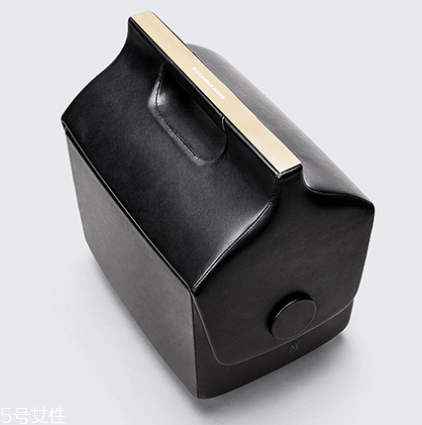 alexander wang與夢龍合作款包包多少錢_在哪買？