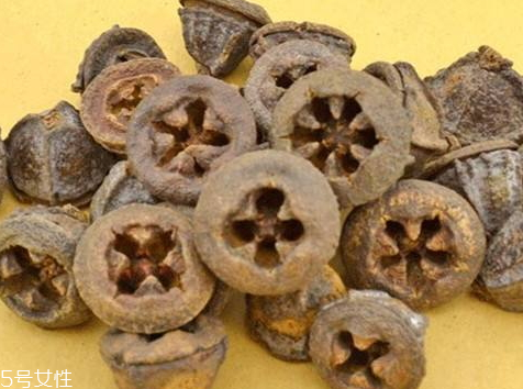 一口盅多少錢一斤 一口盅的藥用價(jià)值 一口盅多少錢一斤 一口盅的藥用價(jià)值