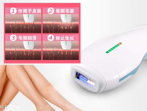 deess脫毛儀多少錢？蒂絲脫毛儀價格