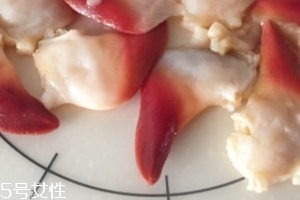 北極貝是海鮮嗎？北極貝介紹