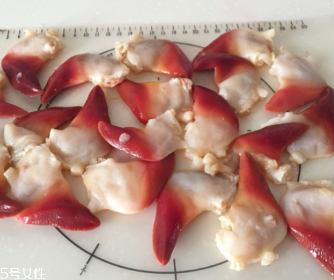 北極貝是海鮮嗎？北極貝介紹