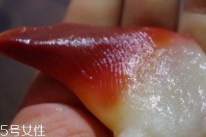 北極貝能不能煮？煮北極貝可以嗎？