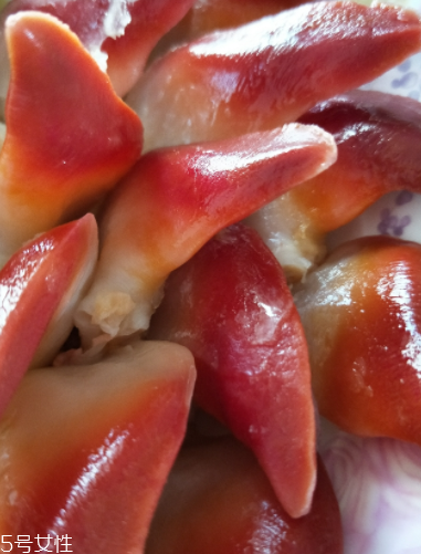 北極貝可以涮火鍋嗎？北極貝可以下火鍋吃嗎？