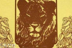 德國(guó)辣椒膏藥怎么樣？德國(guó)辣椒膏藥使用方法