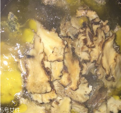 烏骨雞是烏雞嗎？烏骨雞是什么雞？