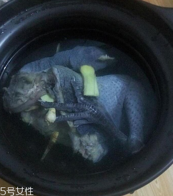 烏骨雞是烏雞嗎？烏骨雞是什么雞？