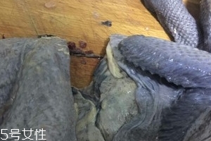 烏雞下奶嗎？烏雞怎么吃下奶？