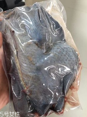 烏雞下奶嗎？烏雞怎么吃下奶？