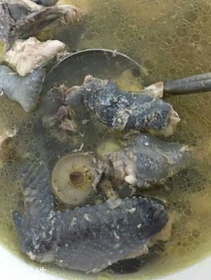 烏雞是發(fā)物嗎？烏雞屬于發(fā)物嗎？