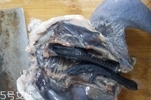 烏雞是公雞好還是母雞好？烏雞買公雞還是母雞？