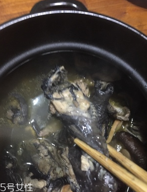 烏雞是公雞好還是母雞好？烏雞買公雞還是母雞？