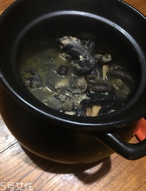 烏雞是公雞好還是母雞好？烏雞買公雞還是母雞？