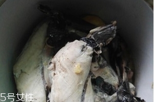 烏雞是熱性還是涼性？烏雞偏熱還是偏涼？