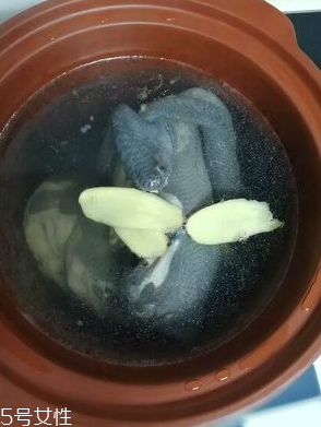 烏雞是熱性還是涼性？烏雞偏熱還是偏涼？