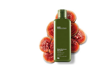 菌菇水對(duì)閉口有用嗎 菌菇水可以當(dāng)日常水嗎 菌菇水對(duì)閉口有用嗎 菌菇水可以當(dāng)日常水嗎